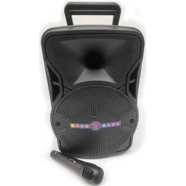 Σύστημα Karaoke με Ενσύρματα Μικρόφωνα 10W ALP803 σε Μαύρο Χρώμα