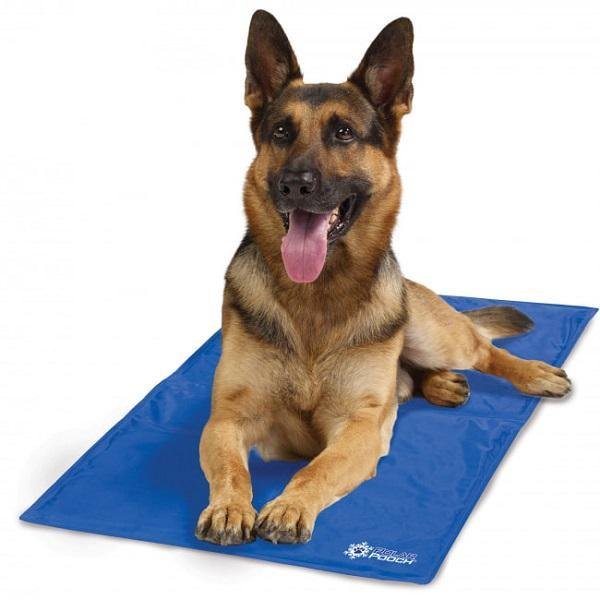 Polar Pooch Pet Cooling Mat Χαλάκι 80cmx55cm μπλε 31829592