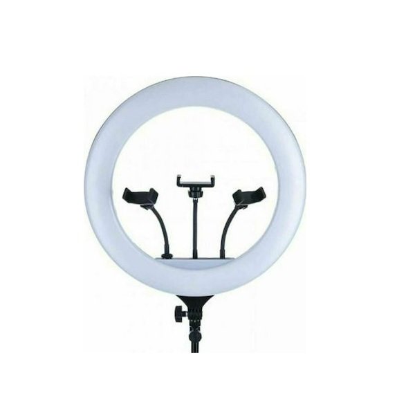 Andowl Q-1800 Ring Light 44cm 3200-5800K με Τρίποδο Δαπέδου και Βάση για Κινητό 27590634