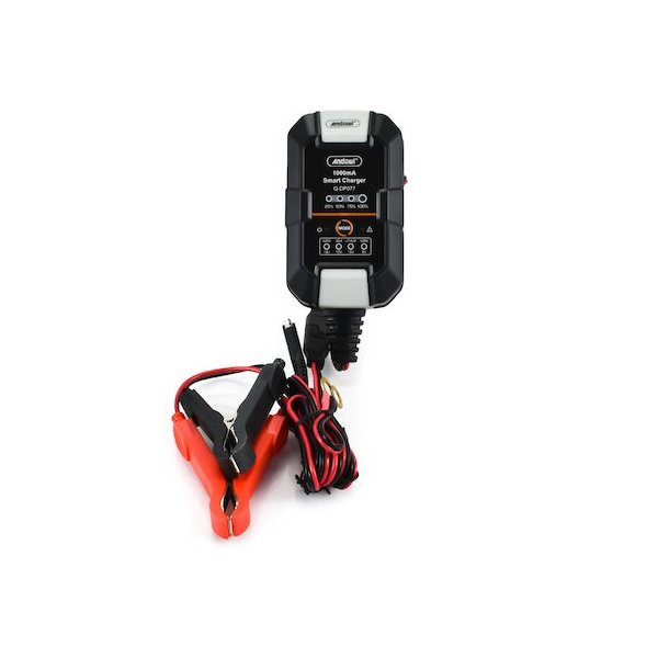 Andowl Q-DP077 Φορτιστής Μπαταρίας Αυτοκινήτου 12V 48909225