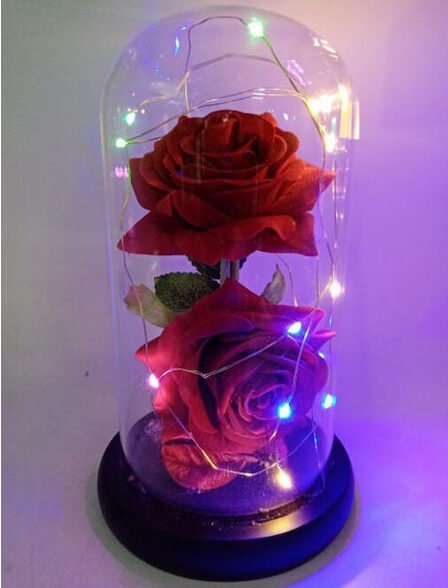 Παντοτινά Τριαντάφυλλα σε Βάζο ABS με Πολύχρωμα LED – RGB LED Κόκκινα 2 Τριαντάφυλλα 19x11cm