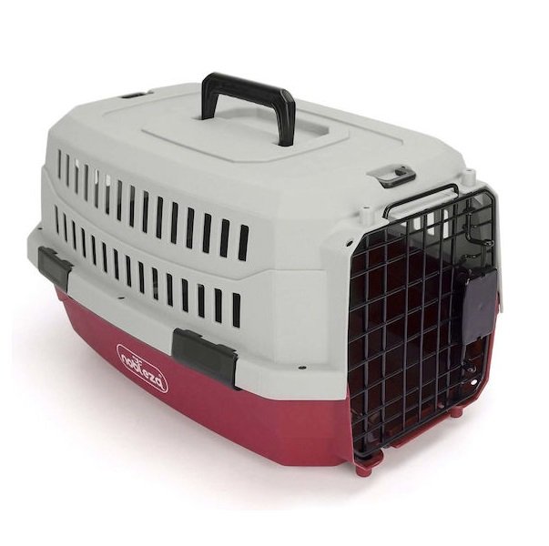 xlarge_20241007122346_a4e1e753