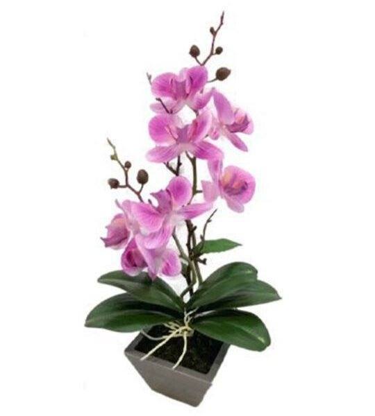Mr Elephant Τεχνητό Φυτό σε Γλαστράκι Μωβ Ορχιδέα 10.5x39.5cm SDS-21499