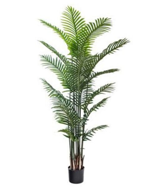 Mr ElephantΤεχνητό Φυτό σε Γλαστράκι Αρέκα SDS-21204