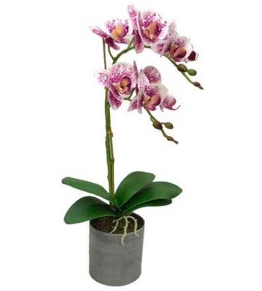 Mr Elephant Τεχνητό Φυτό σε Γλαστράκι Μωβ Ορχιδέα 10.5x48cm SDS-21503