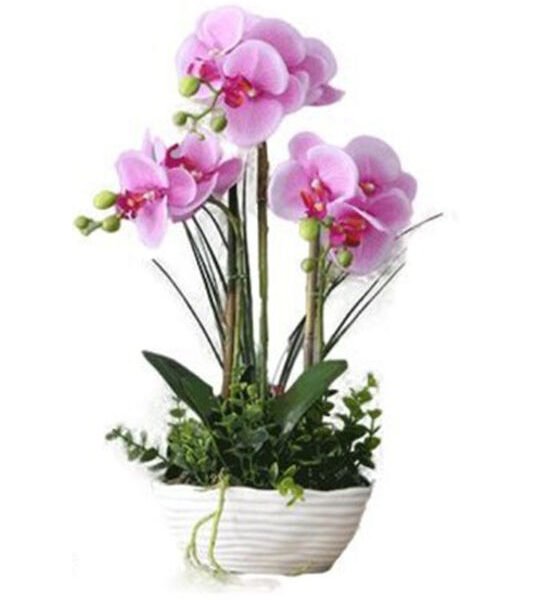 Mr Elephant Τεχνητό Φυτό σε Γλαστράκι Μωβ Ορχιδέα 25x45cm SDS-21497