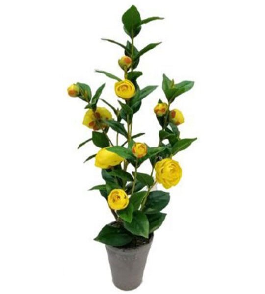 Τεχνητό Φυτό σε γλάστρα 9x59.5cm-SDS-21507