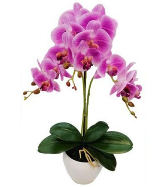 Τεχνητό Φυτό σε Γλαστράκι Ορχιδέα 52cm-SDS-21501.