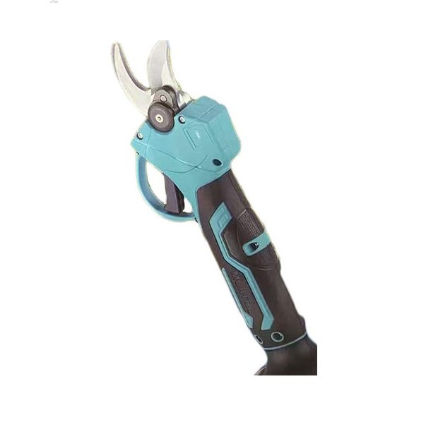 xlarge_20250515164852_3df1bf93